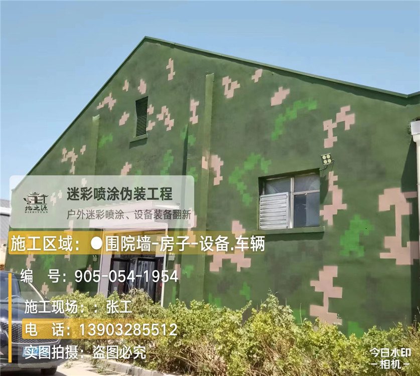 惠州外墙数码迷彩漆施工报价清单（100㎡标准墙面测算）